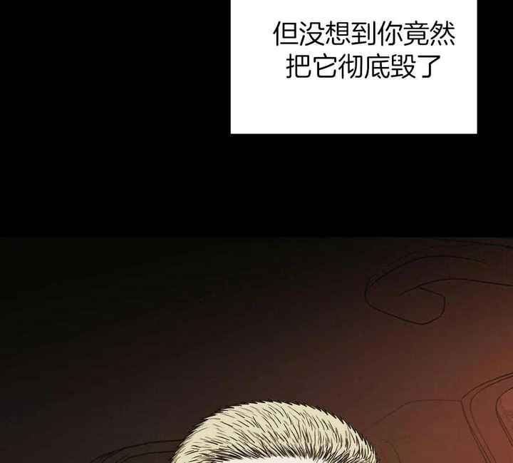 第100话30